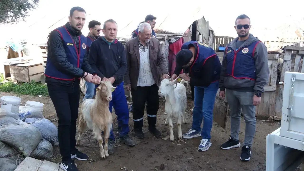 Manavgat’ta Hayvan Hırsızlığına Darbe! 4